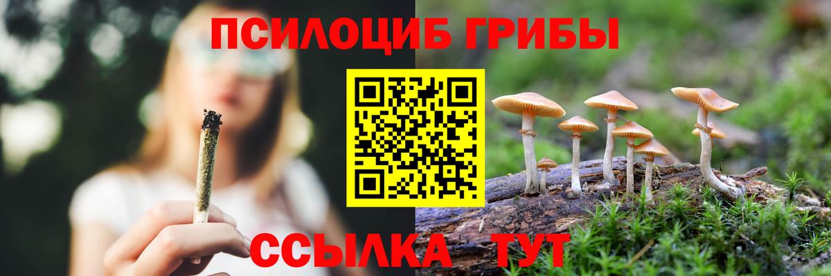 Клинцы  Галлюциногенные грибы мухоморы  Вход с VPN  Псилоцибиновые грибы Psilocybe 